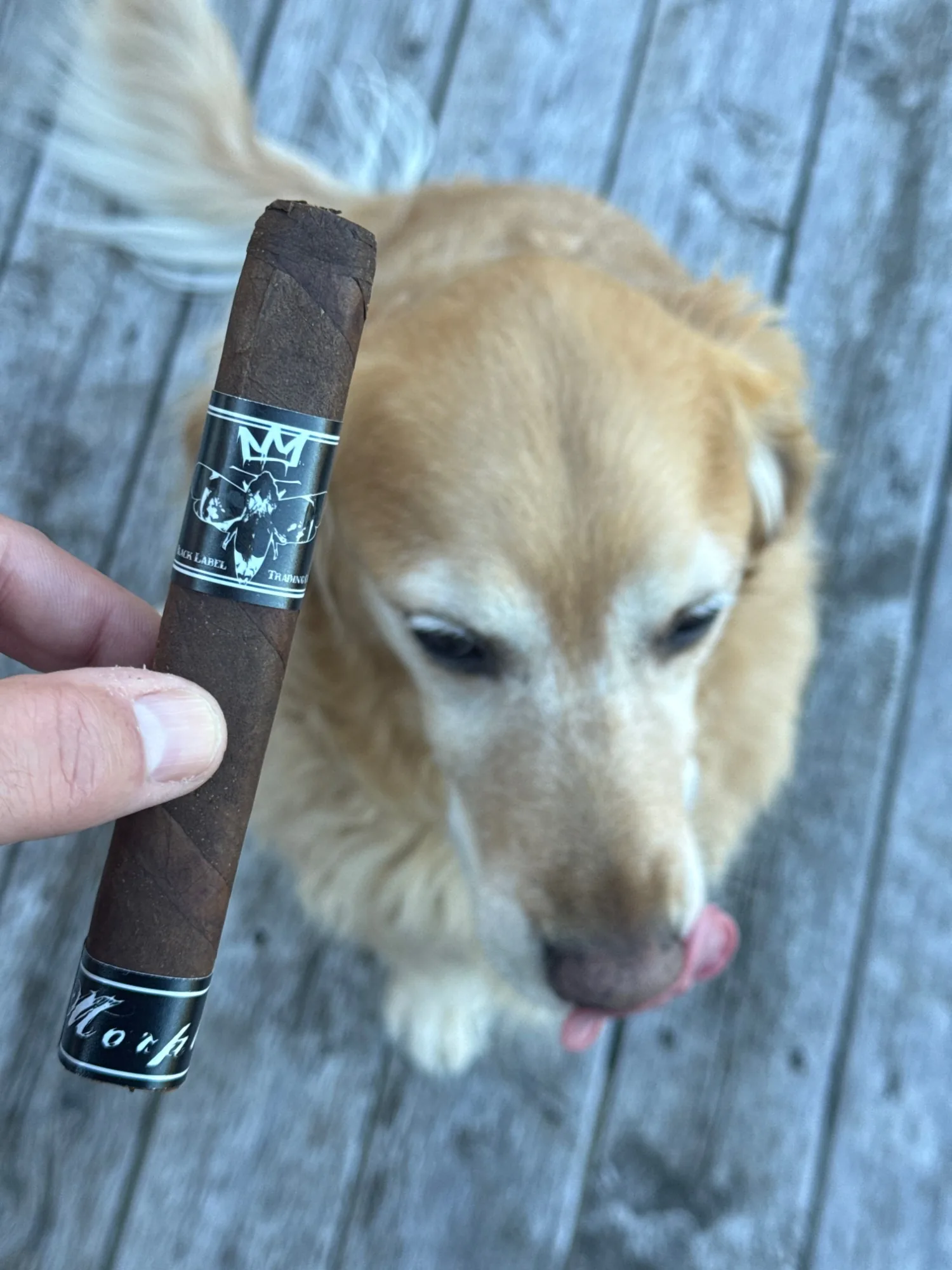 Dallas on the porch with the Morphine 10 Year Anniversary Toro