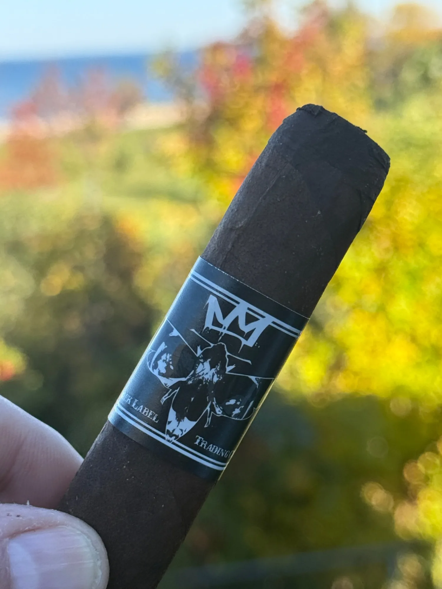 The Morphine 10 Year Anniversary Toro in hand on an autumn afternoon